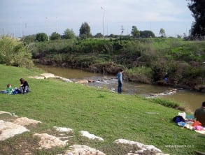 שמורת%20נחל%20אלכסנדר%20,%20משפחת%20משש
